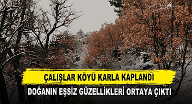 Çalışlar Köyü Karla Kaplandı Doğanın Eşsiz Güzellikleri Ortaya Çıktı