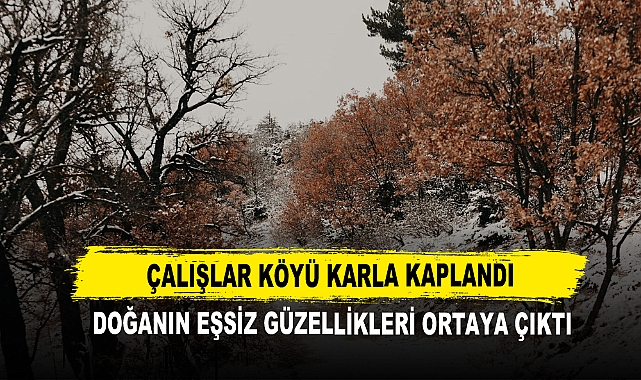 Çalışlar Köyü Karla Kaplandı Doğanın Eşsiz Güzellikleri Ortaya Çıktı