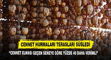 Cennet Hurmaları Terasları Süsledi