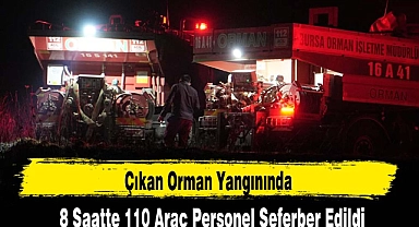 Çıkan Orman Yangınında 8 Saatte 110 Araç ve 319 Personel Seferber Edildi