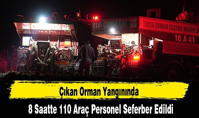 Çıkan Orman Yangınında 8 Saatte 110 Araç ve 319 Personel Seferber Edildi