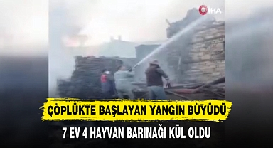 ÇÖPLÜKTE BAŞLAYAN YANGIN BÜYÜDÜ 7 EV 4 HAYVAN BARINAĞI KÜL OLDU