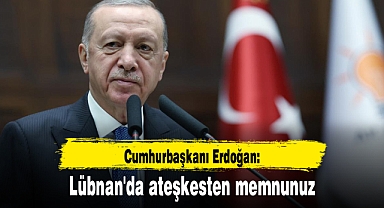 Cumhurbaşkanı Erdoğan: Lübnan'da ateşkesten memnunuz