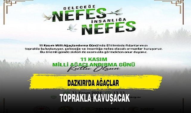 DAZKIRI'DA AĞAÇLAR TOPRAKLA KAVUŞACAK