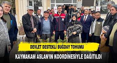 Devlet Destekli Buğday Tohumu Kaymakam Aslan’ın Koordinesiyle Dağıtıldı