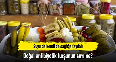 Doğal antibiyotik turşunun sırrı ne?