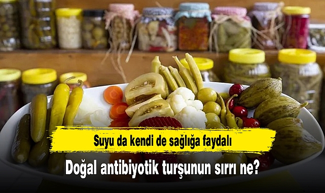 Doğal antibiyotik turşunun sırrı ne?