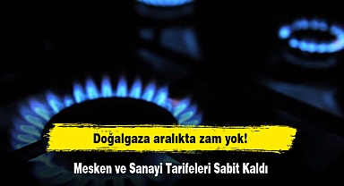 Doğalgaza aralıkta zam yok! Mesken ve Sanayi Tarifeleri Sabit Kaldı