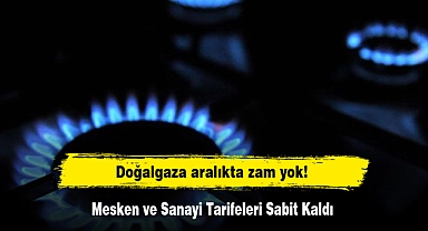 Doğalgaza aralıkta zam yok! Mesken ve Sanayi Tarifeleri Sabit Kaldı