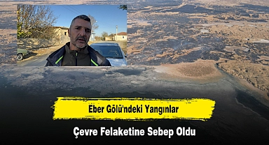 Eber Gölü'ndeki Yangınlar Çevre Felaketine Sebep Oldu