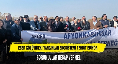 Eber Gölü'ndeki Yangınlar Ekosistemi Tehdit Ediyor, Sorumlular Hesap Vermeli
