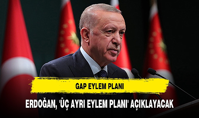 ERDOĞAN, 'ÜÇ AYRI EYLEM PLANI' AÇIKLAYACAK