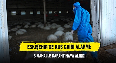 Eskişehir'de Kuş Gribi Alarmı: 5 Mahalle Karantinaya Alındı