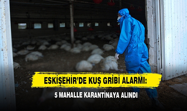 Eskişehir'de Kuş Gribi Alarmı: 5 Mahalle Karantinaya Alındı