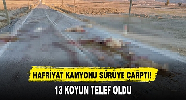 HAFRİYAT KAMYONU SÜRÜYE ÇARPTI!