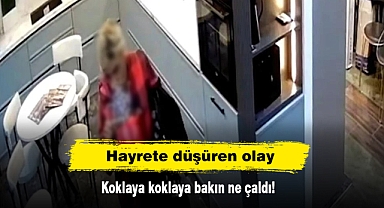Hayrete Düşüren Olay: Koklaya koklaya bakın ne çaldı!