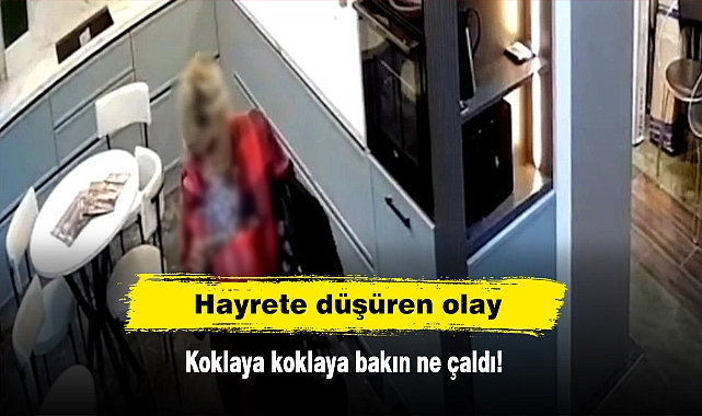 Hayrete Düşüren Olay: Koklaya koklaya bakın ne çaldı!