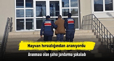 Hayvan hırsızlığından aranıyordu: Aranması olan şahsı jandarma yakaladı