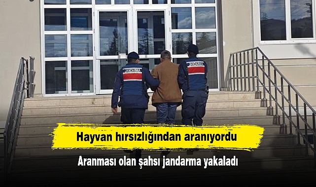 Hayvan hırsızlığından aranıyordu:  Aranması olan şahsı jandarma yakaladı