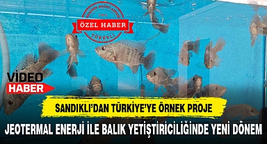 JEOTERMAL ENERJİ İLE BALIK YETİŞTİRİCİLİĞİNDE YENİ DÖNEM