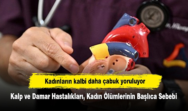 Kadınların kalbi daha çabuk yoruluyor!  Kalp ve Damar Hastalıkları, Kadın Ölümlerinin Başlıca Sebebi