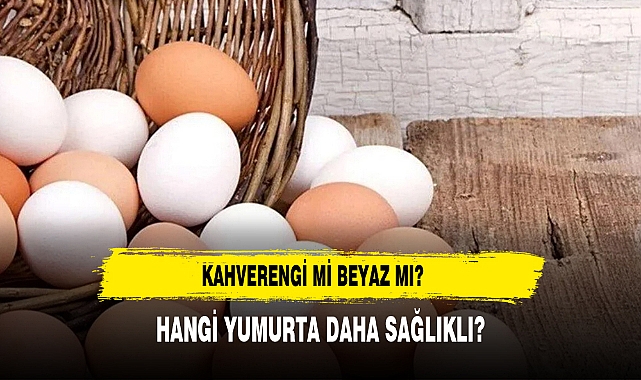 Kahverengi mi Beyaz mı? Hangi Yumurta Daha Sağlıklı? Detaylar Haberimizde
