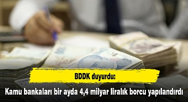 Kamu bankaları bir ayda 4,4 milyar liralık borcu yapılandırdı