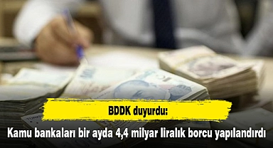 Kamu bankaları bir ayda 4,4 milyar liralık borcu yapılandırdı