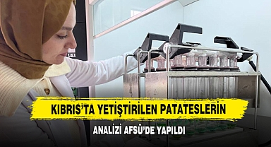 Kıbrıs’ta Yetiştirilen Patateslerin Analizi AFSÜ’de Yapıldı