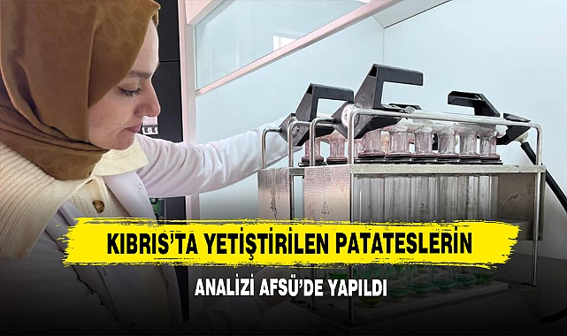Kıbrıs’ta Yetiştirilen Patateslerin Analizi AFSÜ’de Yapıldı