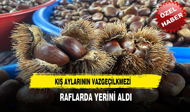 KIŞ AYLARININ VAZGEÇİLKMEZİ KESTANE RAFLARDA YERİNİ ALDI