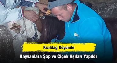 Kızıldağ Köyünde Hayvanlara Şap ve Çiçek Aşıları Yapıldı