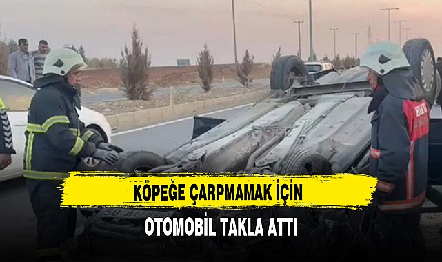 KÖPEĞE ÇARPMAMAK İÇİN OTOMOBİL TAKLA ATTI
