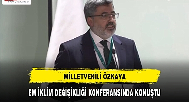 MİLLETVEKİLİ ÖZKAYA, BM İKLİM DEĞİŞİKLİĞİ KONFERANSINDA KONUŞTU