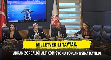 Milletvekili Taytak, Akran Zorbalığı Alt Komisyonu Toplantısına Katıldı