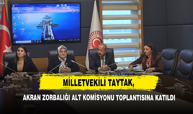 Milletvekili Taytak, Akran Zorbalığı Alt Komisyonu Toplantısına Katıldı