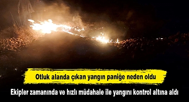 Otluk alanda çıkan yangın paniğe neden oldu