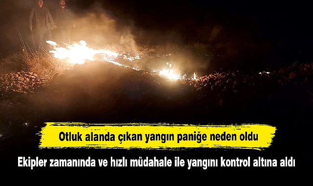 Otluk alanda çıkan yangın paniğe neden oldu