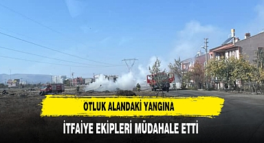Otluk Alandaki Yangına İtfaiye Ekipleri Müdahale Etti