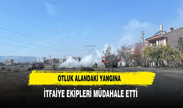 Otluk Alandaki Yangına İtfaiye Ekipleri Müdahale Etti