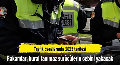 Rakamlar, kural tanımaz sürücülerin cebini yakacak