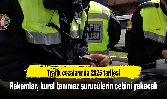 Rakamlar, kural tanımaz sürücülerin cebini yakacak