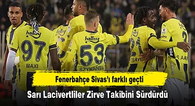 Sarı Lacivertliler Zirve Takibini Sürdürdü