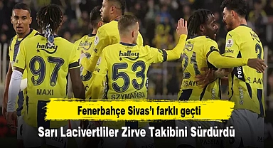 Sarı Lacivertliler Zirve Takibini Sürdürdü