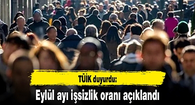 TÜİK: İşsizlik oranı eylülde yüzde 8,6 oldu