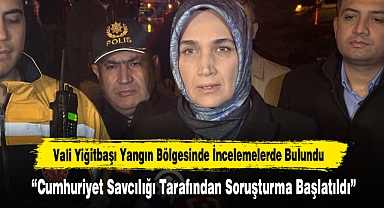 Vali Yiğitbaşı Yangın Bölgesinde İncelemelerde Bulundu