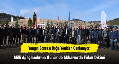 Yangın Sonrası Doğa Yeniden Canlanıyor!  Milli Ağaçlandırma Günü'nde Akharım'da Fidan Dikimi