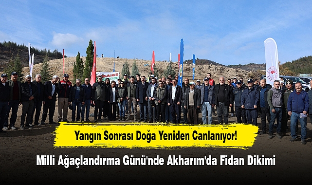 Yangın Sonrası Doğa Yeniden Canlanıyor!  Milli Ağaçlandırma Günü'nde Akharım'da Fidan Dikimi