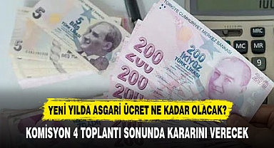 YENİ YILDA ASGARİ ÜCRET NE KADAR OLACAK?