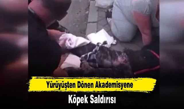 Yürüyüşten Dönen Akademisyene Köpek Saldırısı
